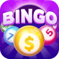 bingo-cash-promo-code